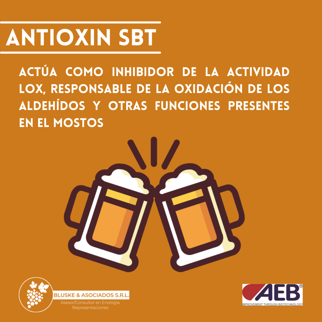 Antioxin sbt