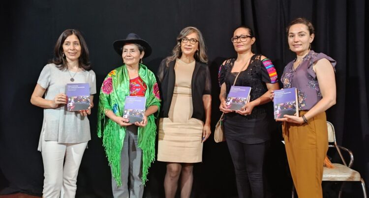 “Sobreviviendo a la violencia feminicida”, un estudio sobre el lugar de la violencia en Bolivia