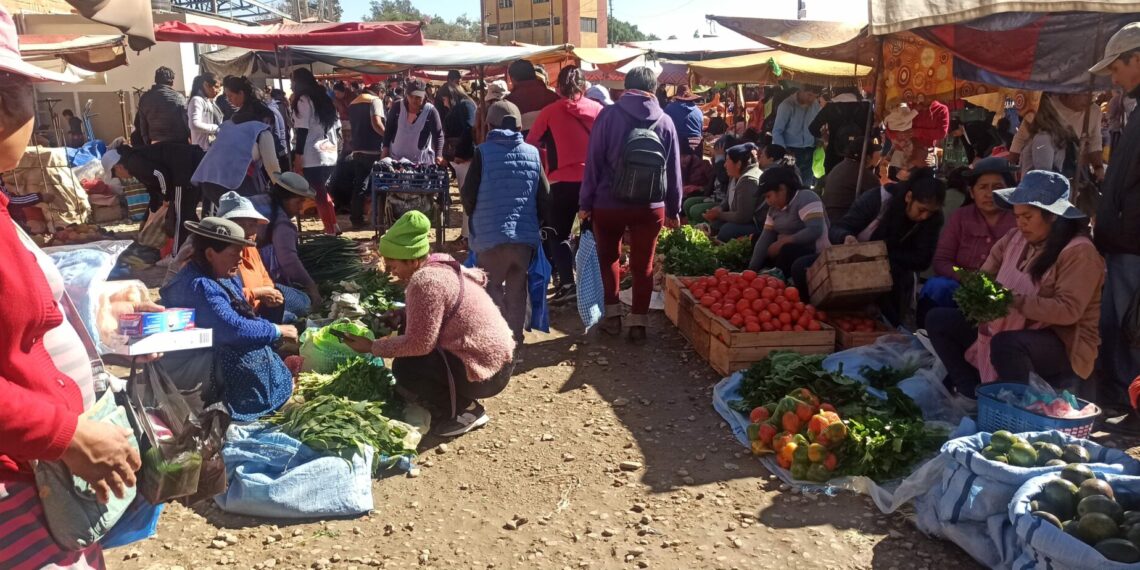 Área de comercio al por menor en el Mercado Campesino de Tarija. Foto: Acceso Investigativo.