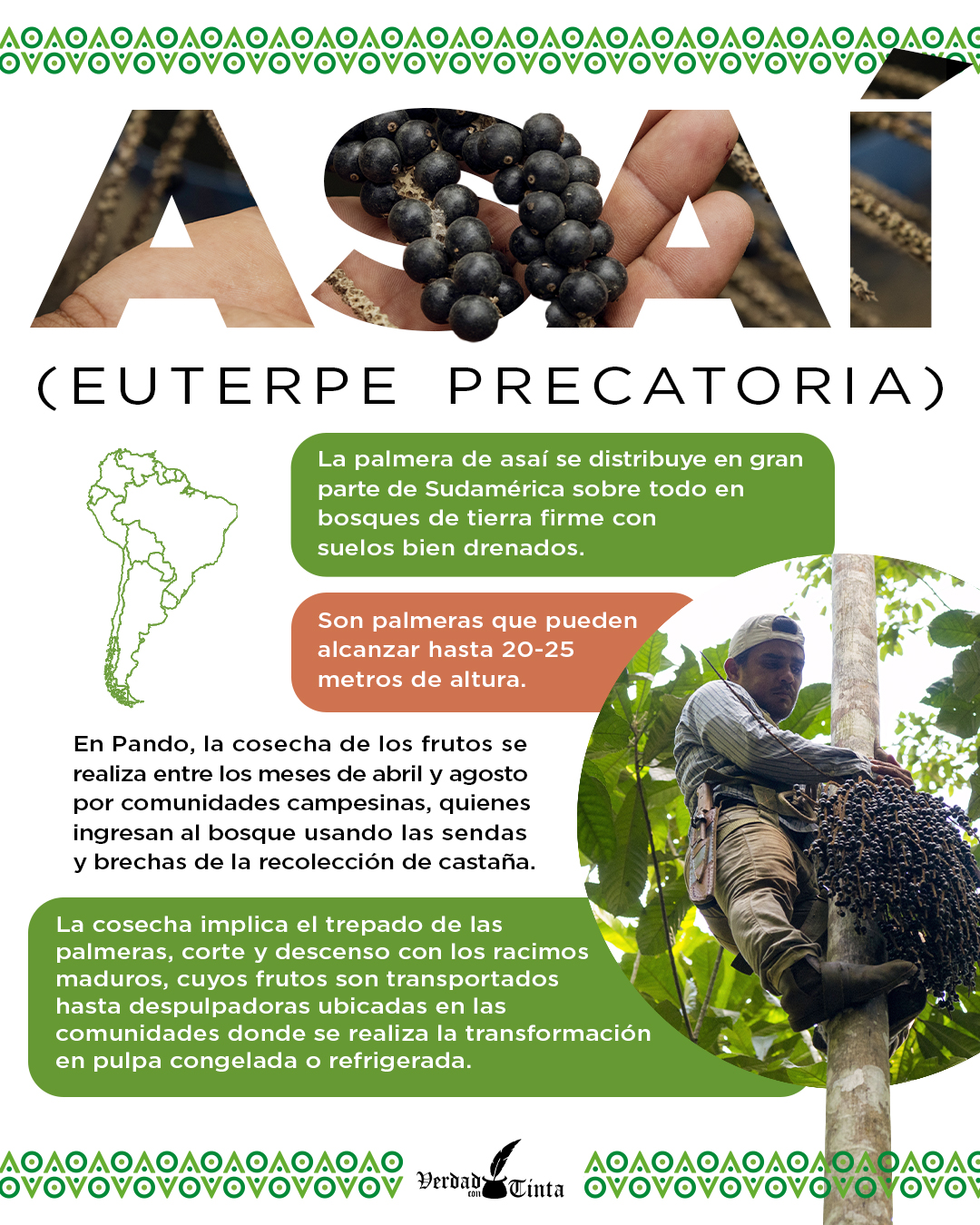 Advertisement Banner