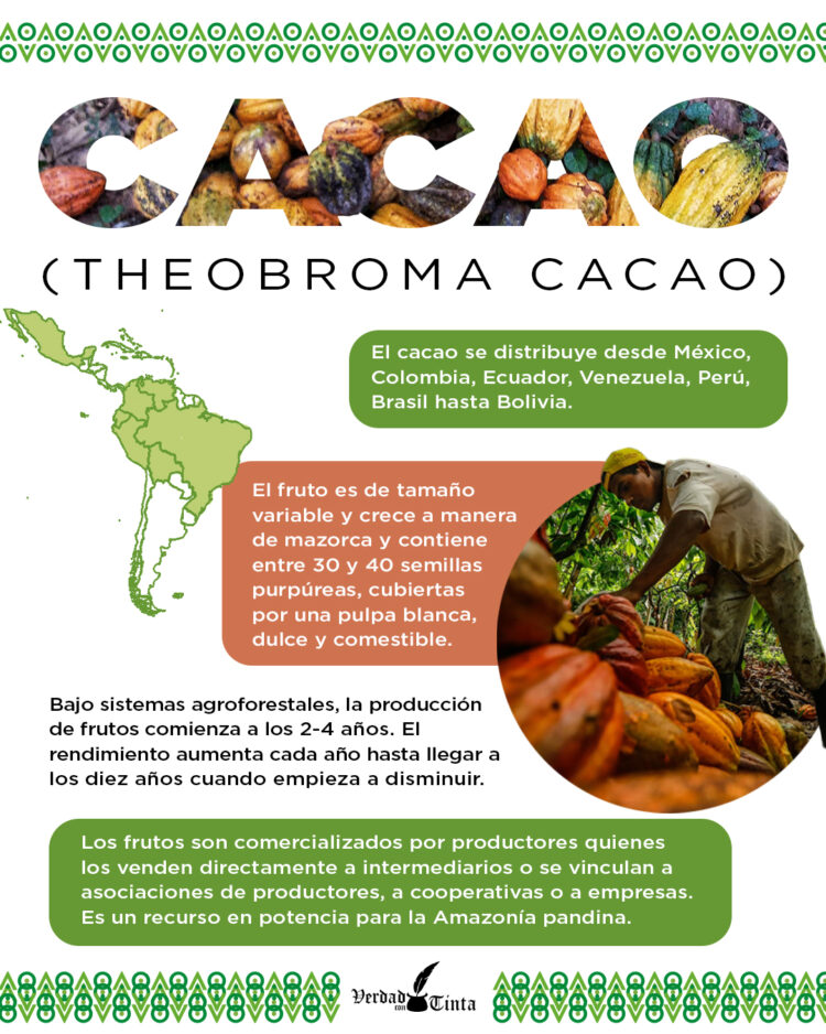 CACAO
