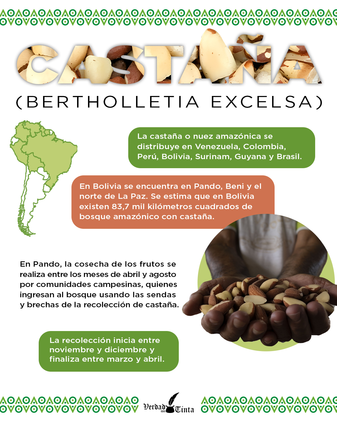 Advertisement Banner