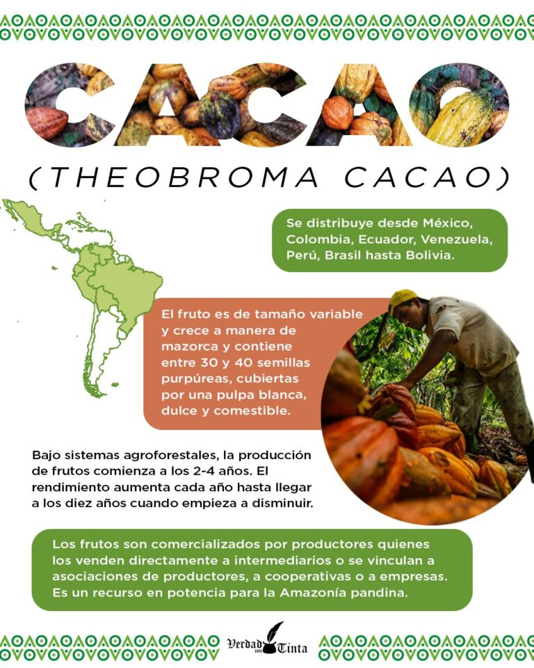 CACAO