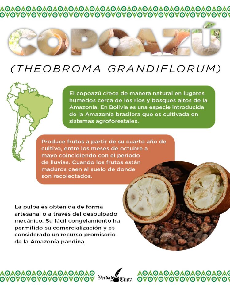 COPOAZÚ