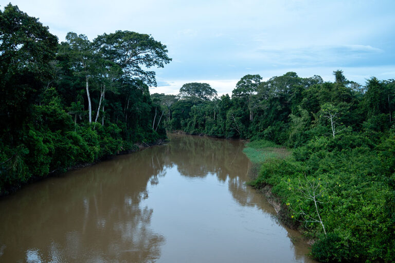 Los ríos en la Amazonía pandina.