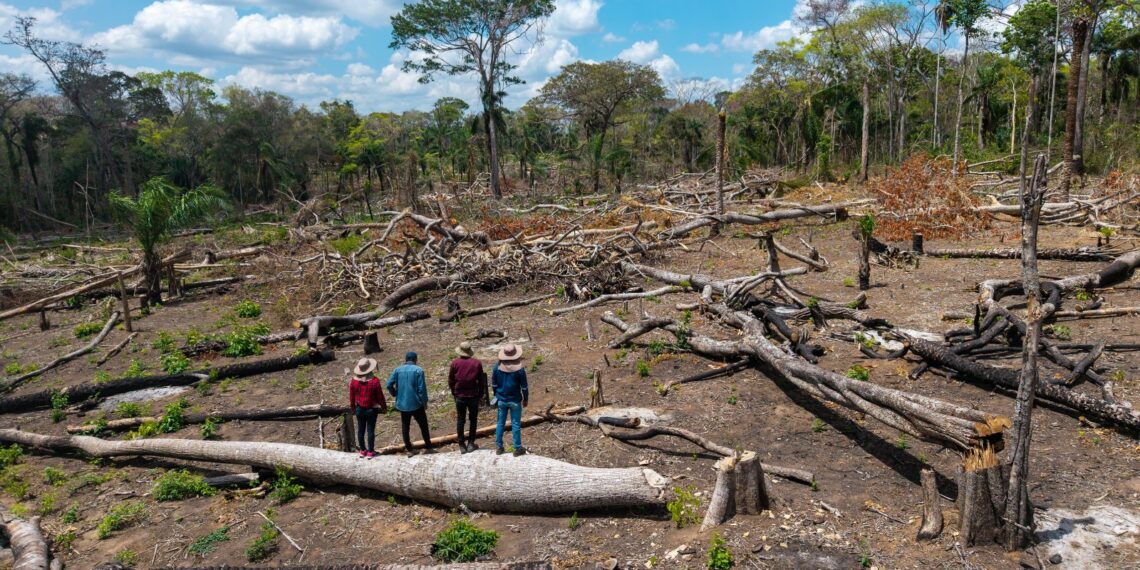 Los avasallamientos son una amenaza recurrente para los pueblos indígenas amazónicos. En la comunidad Los Ángeles del territorio Monte Verde, los indígenas chiquitanos se enfrentaron a los invasores y los desalojaron | Foto: Edy Yobanny Velasco.