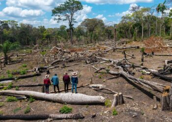 Los avasallamientos son una amenaza recurrente para los pueblos indígenas amazónicos. En la comunidad Los Ángeles del territorio Monte Verde, los indígenas chiquitanos se enfrentaron a los invasores y los desalojaron | Foto: Edy Yobanny Velasco.